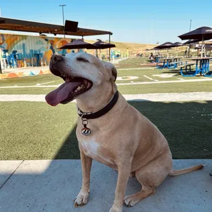 Nilla Wafur loves Bar K!