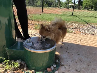 Happy Tails Dog Park