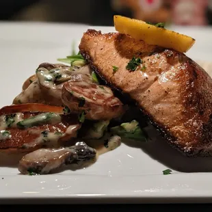 Salmon