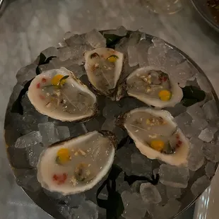 Oyster Ceviche