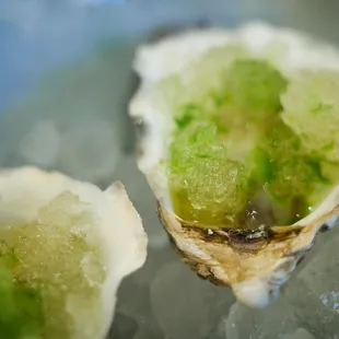 "Seasonal snack set" - higata oyster w/ white kim chee and tomato
