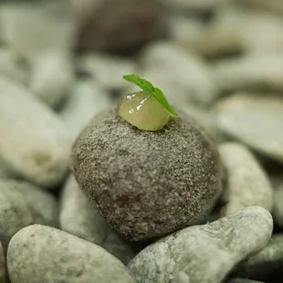 Petit four - bourbon chocolate truffle