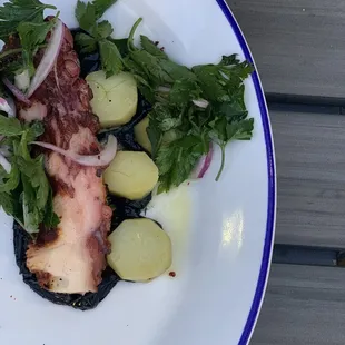 Spanish Octopus