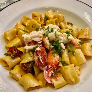 Lobster Paccheri