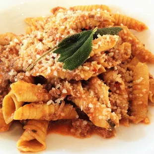Garganelli Duck Ragout