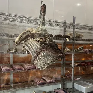 Dry aged meat area