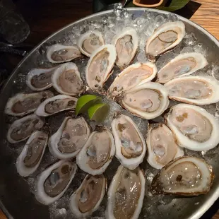 Oyster happy hour