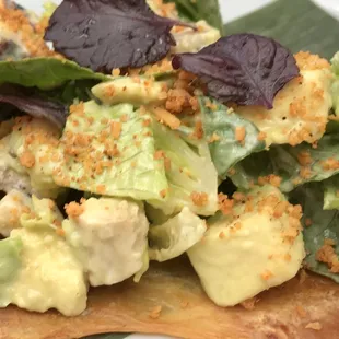 Chicken Caesar Tostada