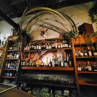 shelves of alcohol and wine bottles