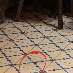 a red circle on a tiled floor