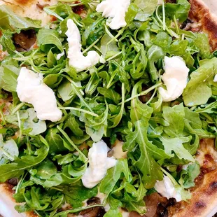 Funghi truffle pizza