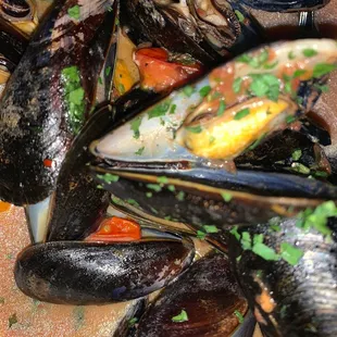 NEW STEAMED MUSSELS and HOUSE CUT FRIES