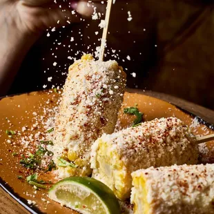 Elotes