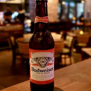 Budweiser Beer