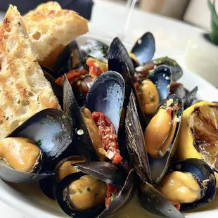Steamed Mussels