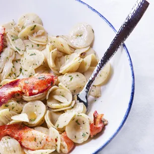 pasta dish, food, pasta