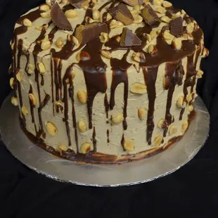 Chocolate Peanut Butter Delight