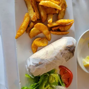 Gyro sandwich with fries