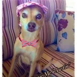 Gracie A.