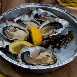 raw oysters - 7 for $19