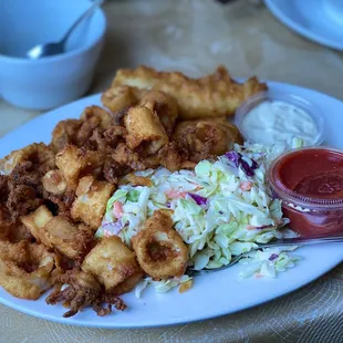 Calamari and fish