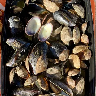 Clams &amp; Mussels $35.95
