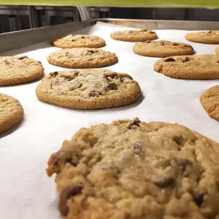 Chocolate chip cookies fresh out of the oven!