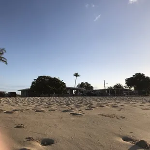 View of the unit from the beach.  It's behind the trees 1701 A &amp; B