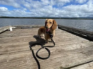 West Loch Shoreline Park
