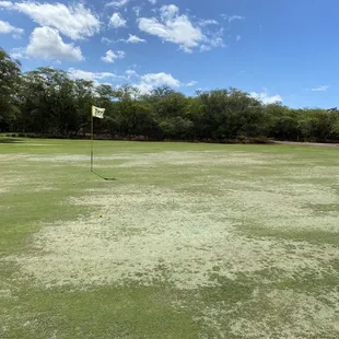 #10 most of the greens look like this