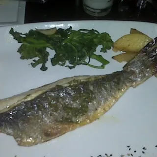 BRANZINO