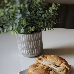 a croissant sandwich on a plate next to a potted plant
