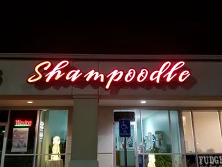 Shampoodle