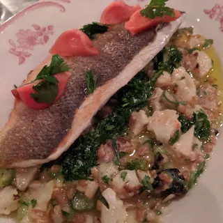 Mediterranean Bronzino