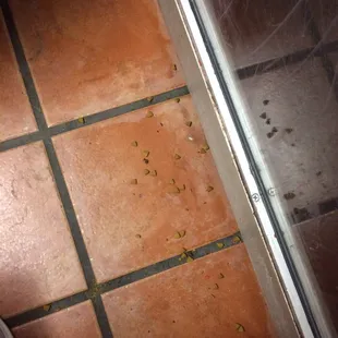 Cat food inside the elevator.