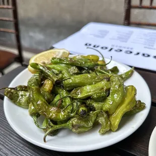 oysters and mussels, food, mussels, shellfish, oysters