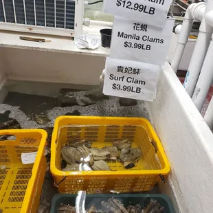 a pile of clams in plastic baskets