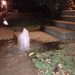 Sprinklers would be on right after it rains.