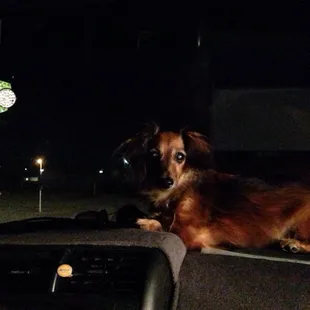 Guardians of the Galaxy! And TMNT