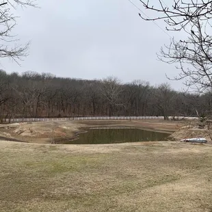 Pond view from private patio.