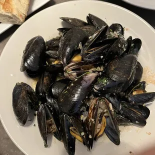 Mussels