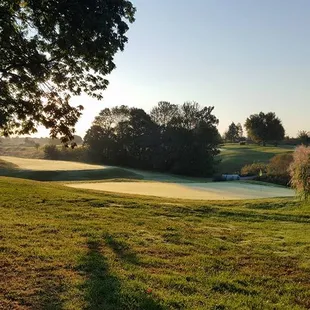 #11 looking back from green