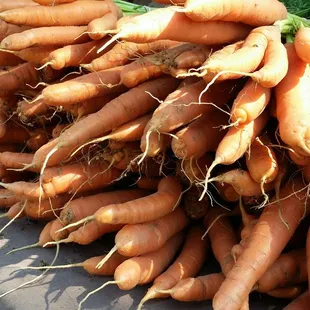 a pile of carrots