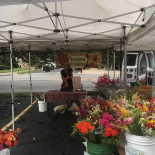 Falling Springs Flowers