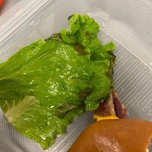 Semi wilted lettuce