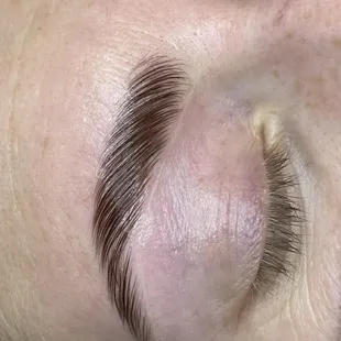 Eyebrow Lamination and Tint