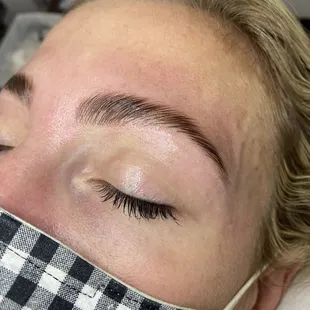 Eyebrow Lamination