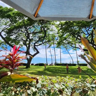 The main view from my table