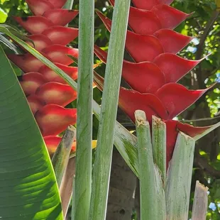 Oh, lovely light, and lovely nature to observe