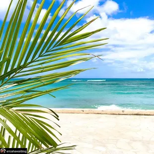 Come down to Queen's Surf Beach!  We are in Kapiolani Park at the Local Surf Spot "Publics"